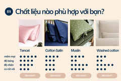 Ga Giường Lụa Tencel 60s Màu Trơn